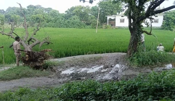 See: Azamgarh: Neem tree fallen on Chakrot in Sagdi became a problem, villagers got angry due to throwing...
